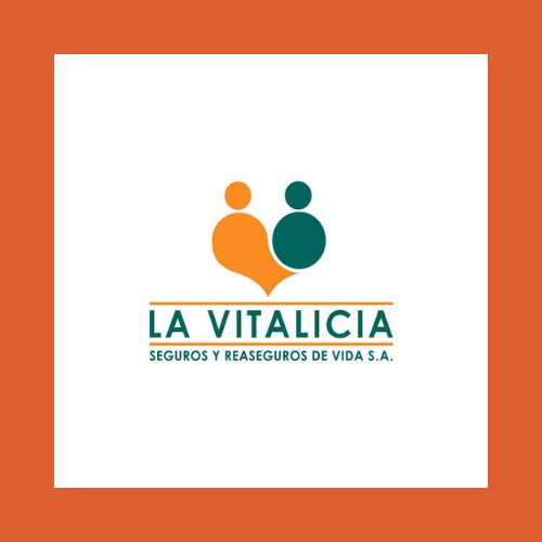 La Vitalicia Construcciones